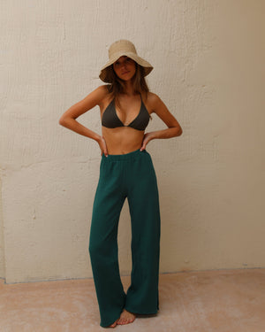 Swim Safari
